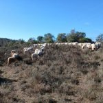 WhatsApp Image 2026-03-18 at 16.21.27