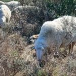 WhatsApp Image 2026-03-18 at 16.21.35