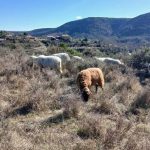 WhatsApp Image 2026-03-18 at 16.21.39